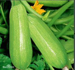 网红吃瓜圈八卦图片,八卦图片背后的惊人真相  第3张